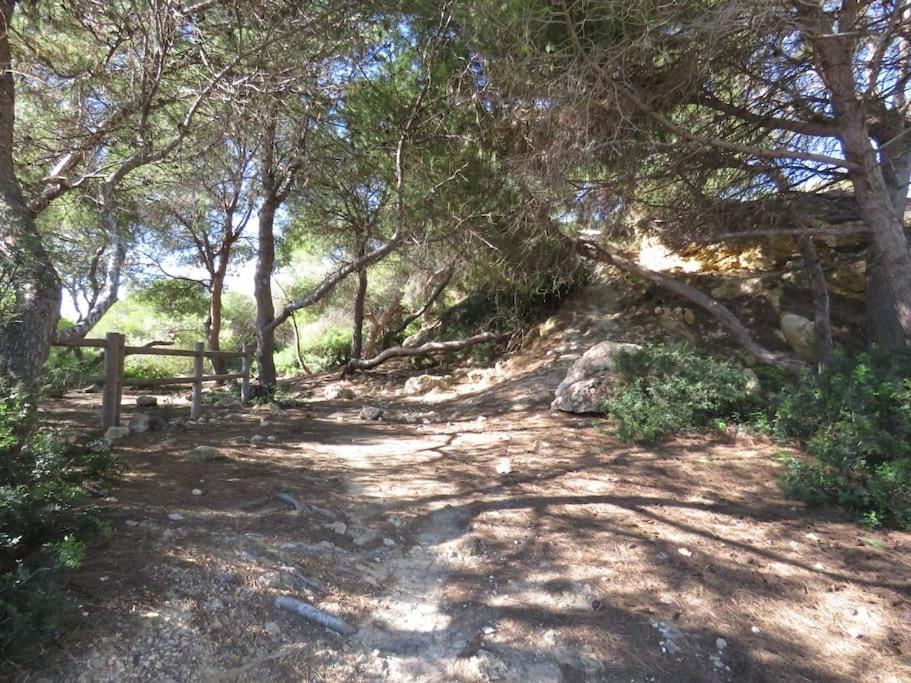 Ferienwohnung Coqueto Alojamiento Con Banera De Hidromasaje Tarragona Exterior foto